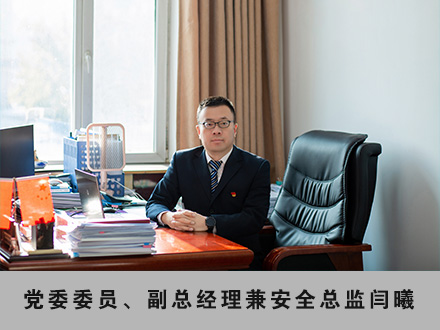 005 黨委委員、副總經(jīng)理兼安全總監(jiān)閆曦.jpg