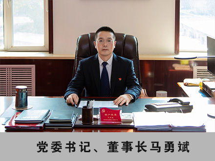 001 黨委書記、董事長馬勇斌.jpg